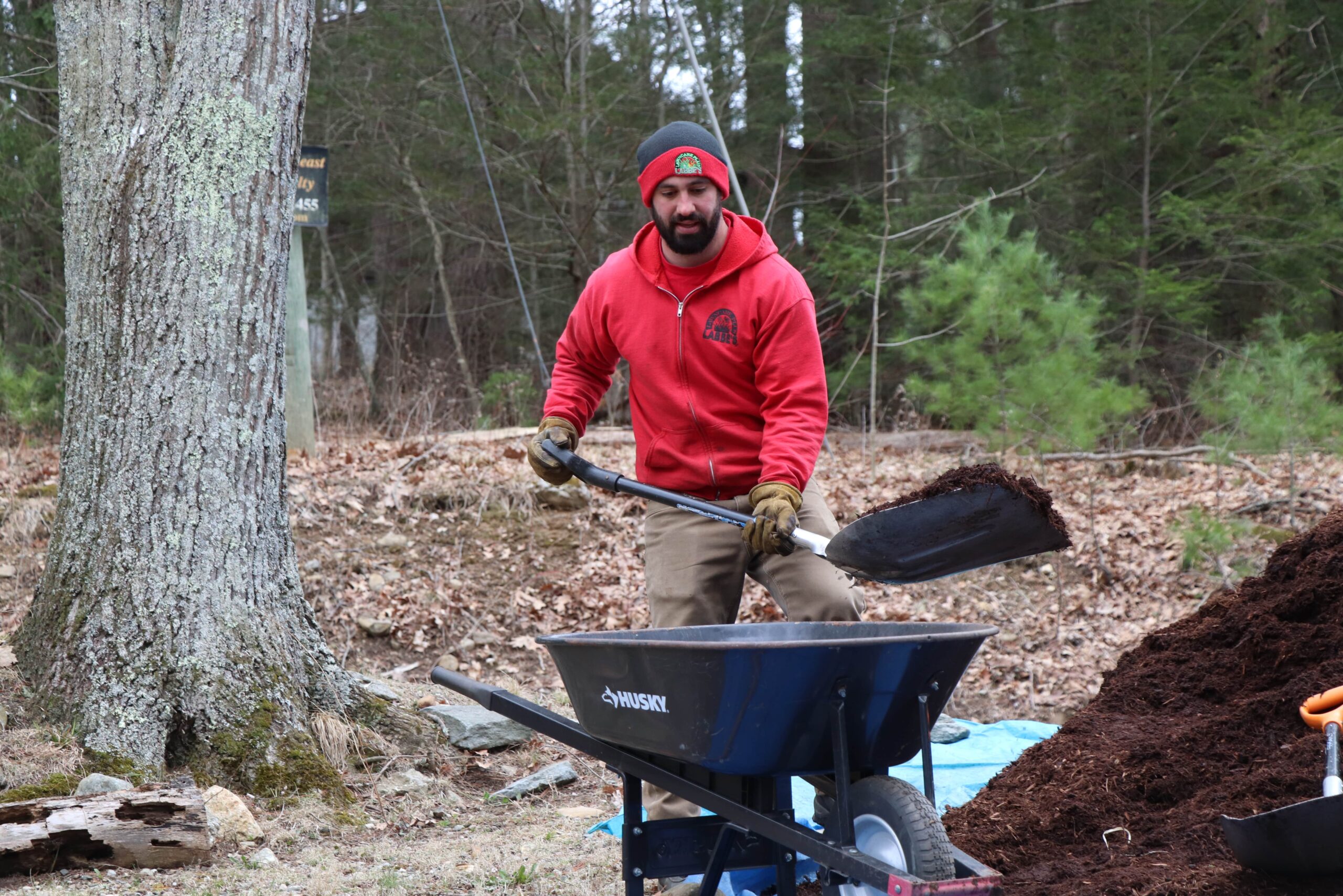 Mansfield, CT A man in a red hoodie shovels mulch into a wheelbarrow outdoors, surrounded by trees and fallen leaves.